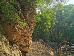-北京上方山国家森林公园