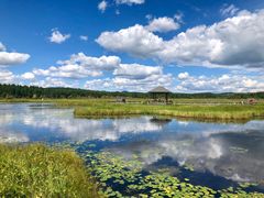 -塞罕坝国家级自然保护区