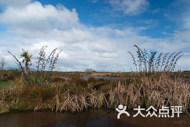 travis wetland nature heritage park圖片 - 第1張