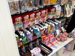 -当汪遇见喵宠物店