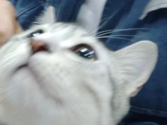 -一些柠檬一些茶(西村店)