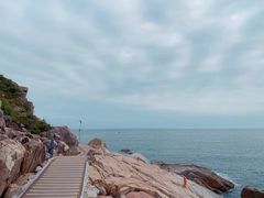 -广东惠东海龟国家级自然保护区