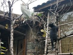 -驿舍·民國老营房院子私房菜(科学会堂店)