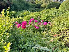 -洛阳市隋唐城遗址植物园