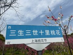 -南汇桃花村