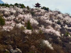 -白水寺森林公园