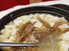 -丰食农家乐