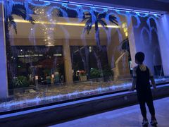 -常州环球恐龙城维景国际大酒店