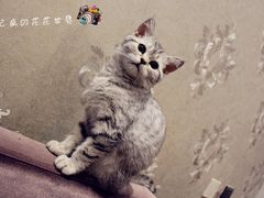 IMG_9179_副本-吱咖啡西式简餐