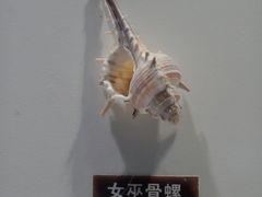 -泉城欧乐堡海洋极地世界