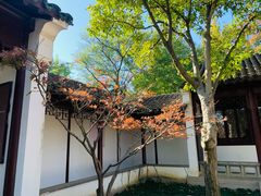 -枫桥景区