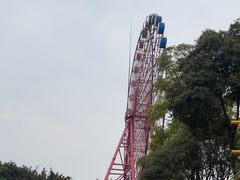 -南湖梦幻岛