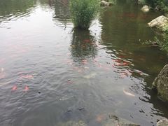 -什邡罗汉寺