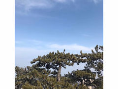 -华山风景名胜区