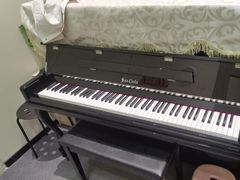 -知音艺术教育培训·钢琴培训·音乐培训(河西金鹰世界校区)