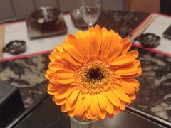 -王家渡火锅店(亦庄店)