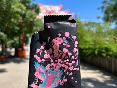 -北京凤凰岭