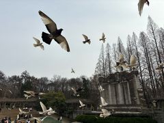 -音乐台