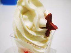 -红星前进面包牛奶公司(畅春园店)