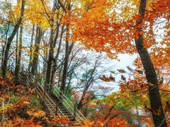 -光雾山旅游景区