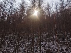 -红崖峡谷景区