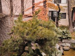 -驿舍·民國老营房院子私房菜(科学会堂店)