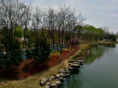 -大兴滨河森林公园