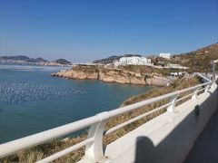-枸杞岛