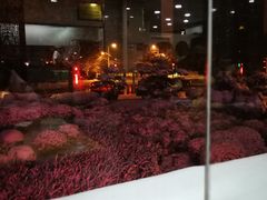 -淳澄水盆羊肉