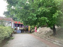 -连云港云龙涧原生态风景区