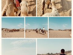 -黄沙古渡原生态旅游区