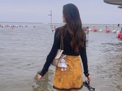 -碧海金沙