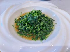 -新雅粤菜馆(南京东路店)