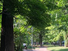 -北海道厅旧本厅舍(旧本庁舎)