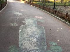 -莲花池公园