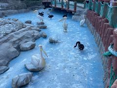-大连老虎滩海洋公园