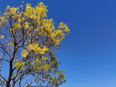 -北京京辉高尔夫俱乐部有限公司