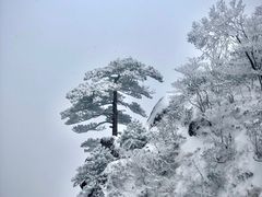 -黄山风景区