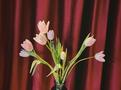 -花·fleur古董西餐厅(西城夜未央店)