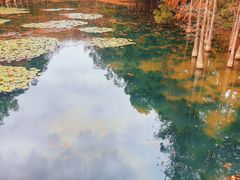 -荔湾湖公园