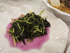 -楼外楼(西湖景区孤山路店)