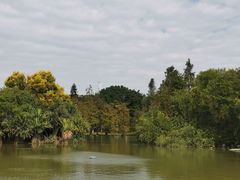 -海珠湖公园