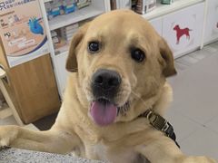 -爱侣宠医·鹦鹉专科·小型哺乳类·异宠专科(灵石路店)