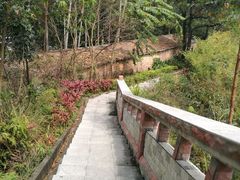 -火炉山森林公园