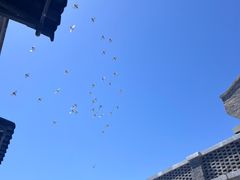 -创艺无限·赵春香微妙艺术馆