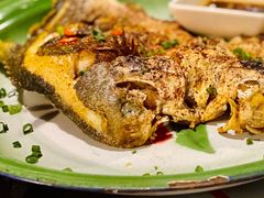 炭烤多宝鱼-辉记炭烧海鲜大排档·老字号(福田店)
