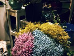 -杭州街角花屋花店(闻堰店)