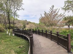 -羊山湖公园