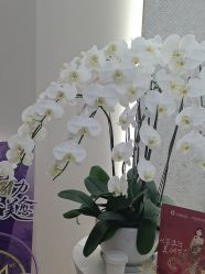 -美丽田园