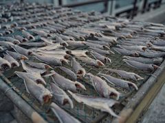 -舟山希尔顿酒店